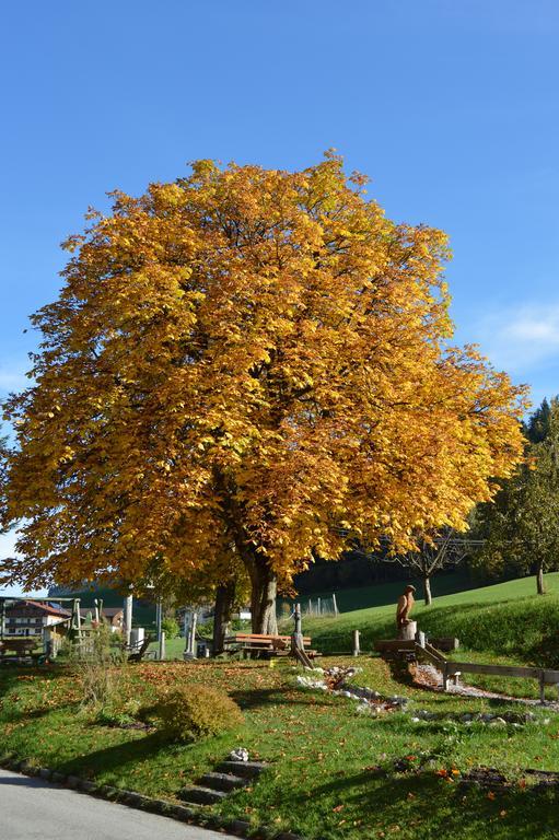 Gasthaus Landgasthof Ledererwirt Ebbs Exterior foto